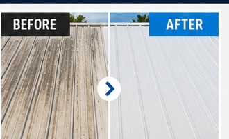 Metal roof — soft wash safe