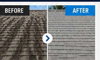 Shingle roof — soft wash safe